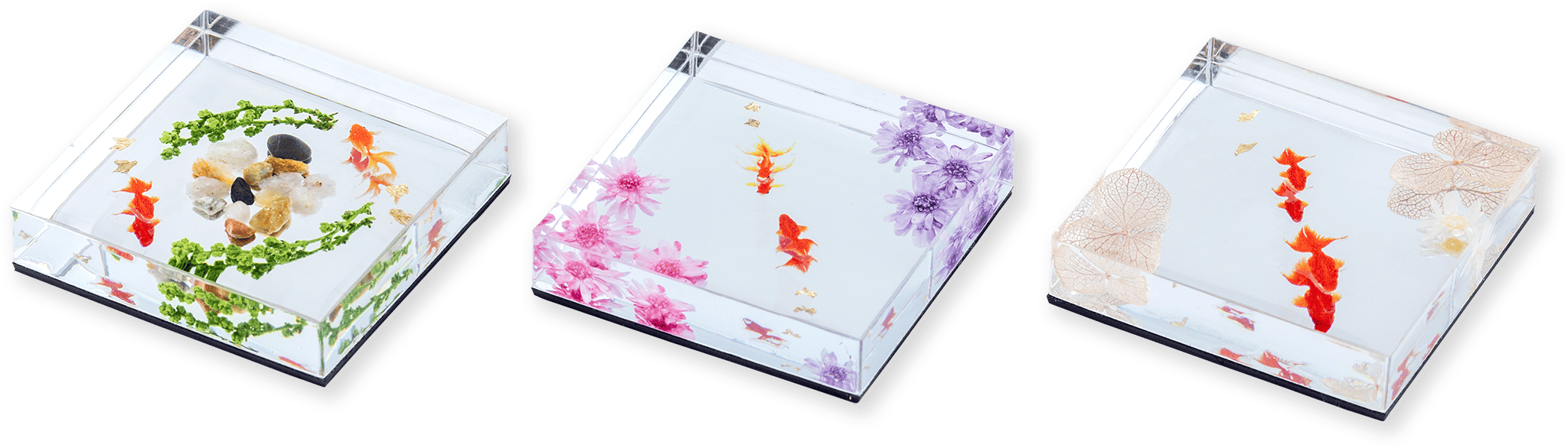 和美コレクション